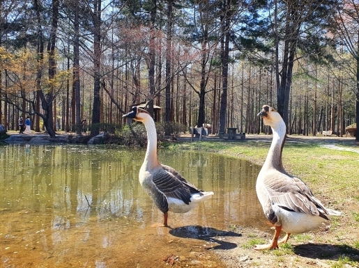 ¿©Çà »çÁø3 ¿©Çà »çÁø3