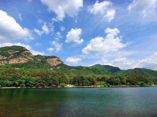 ���� ����6