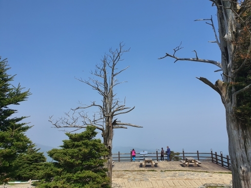 ¿©Çà »çÁø4 ¿©Çà »çÁø4