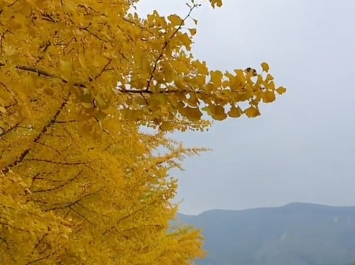 ¿©Çà »çÁø2 ¿©Çà »çÁø2