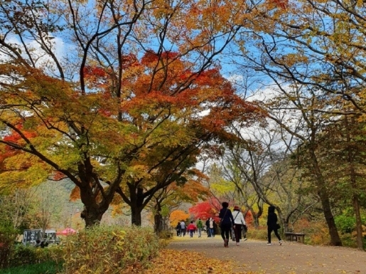 ¿©Çà »çÁø4 ¿©Çà »çÁø4