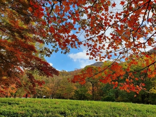 ¿©Çà »çÁø3 ¿©Çà »çÁø3