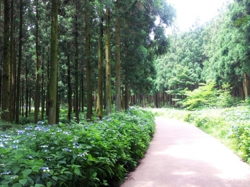 ¿©Çà »çÁø5 ¿©Çà »çÁø5