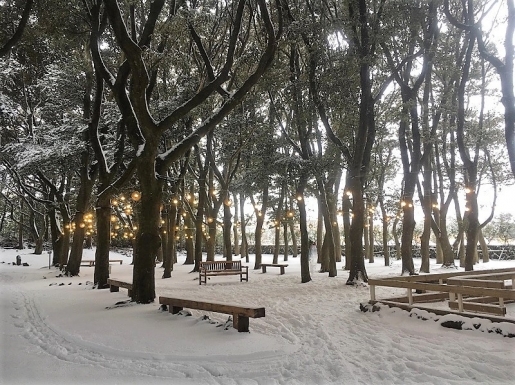 ¿©Çà »çÁø5 ¿©Çà »çÁø5