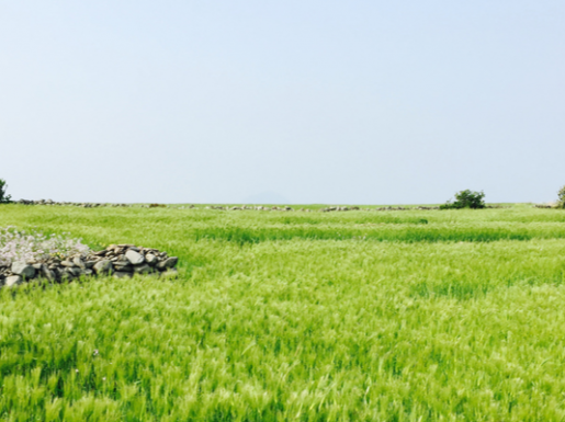 ���� ����3