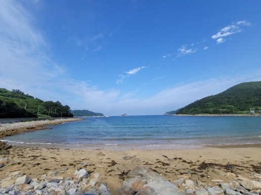 ���� ����5