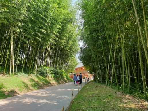 ���� ����2