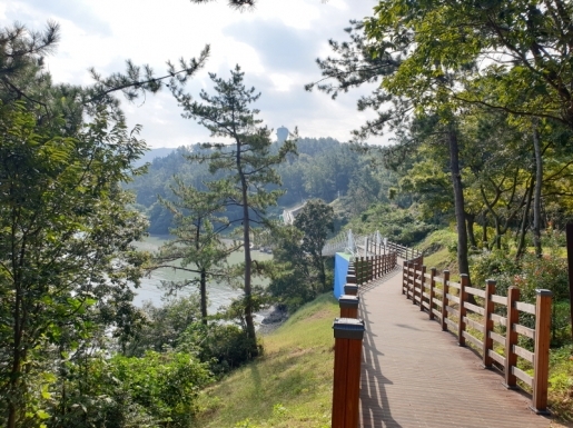 ���� ����5