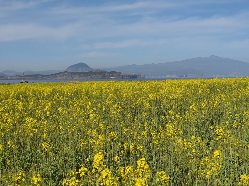 ���� ����2