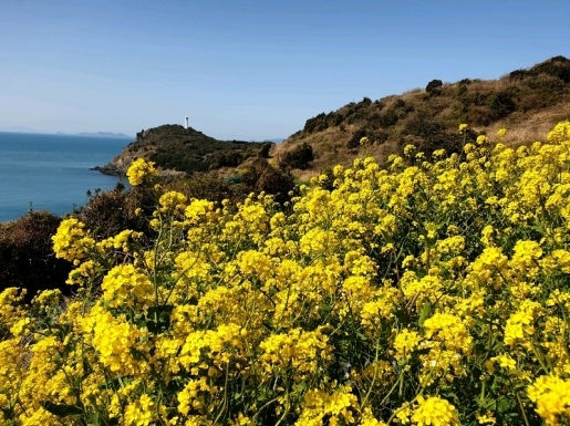 ���� ����2