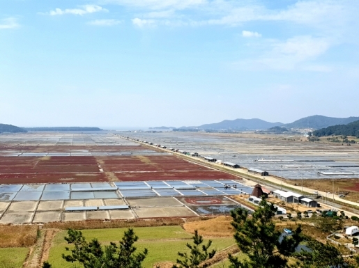 ¿©Çà »çÁø5 ¿©Çà »çÁø5