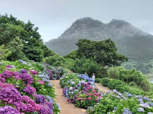 ���� ����4