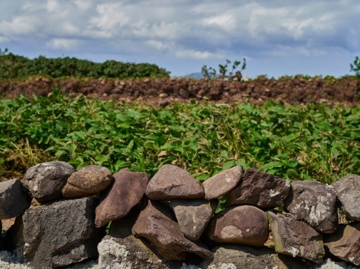 ¿©Çà »çÁø4 ¿©Çà »çÁø4