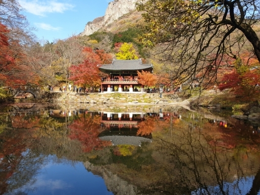 ¿©Çà »çÁø5 ¿©Çà »çÁø5