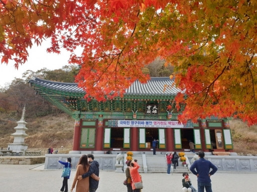 ¿©Çà »çÁø5 ¿©Çà »çÁø5