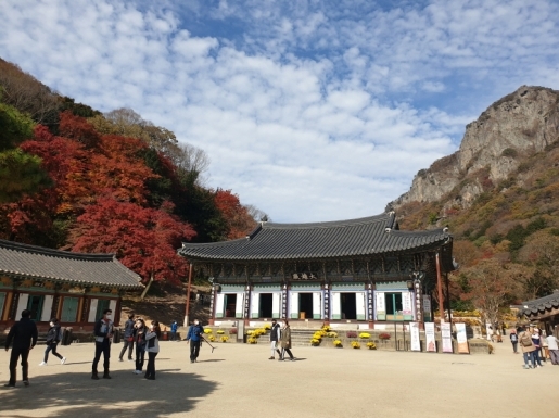 ¿©Çà »çÁø7 ¿©Çà »çÁø7