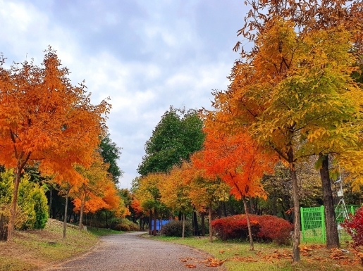 ¿©Çà »çÁø4 ¿©Çà »çÁø4