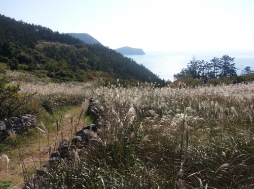 ¿©Çà »çÁø3 ¿©Çà »çÁø3