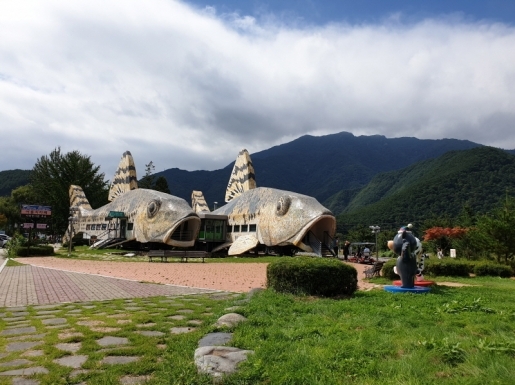 ���� ����6