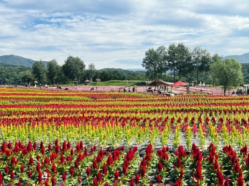 ¿©Çà »çÁø3 ¿©Çà »çÁø3