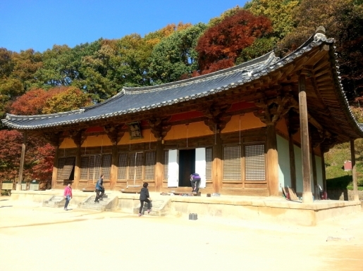 ¿©Çà »çÁø3 ¿©Çà »çÁø3