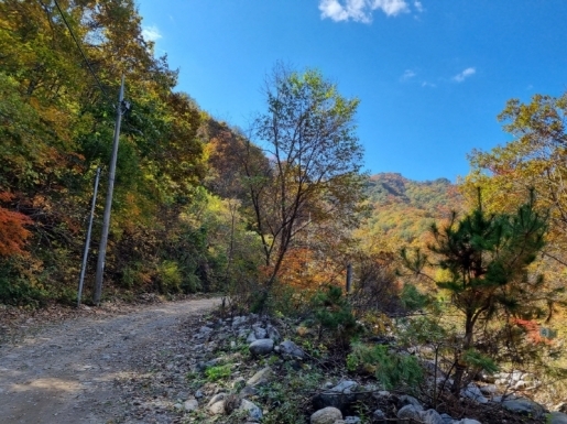 ¿©Çà »çÁø6 ¿©Çà »çÁø6