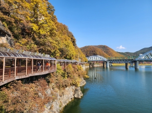 ¿©Çà »çÁø5 ¿©Çà »çÁø5