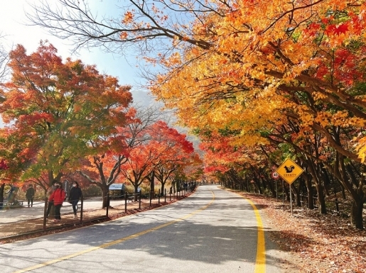 ¿©Çà »çÁø4 ¿©Çà »çÁø4