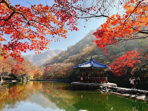 ¿©Çà »çÁø6 ¿©Çà »çÁø6