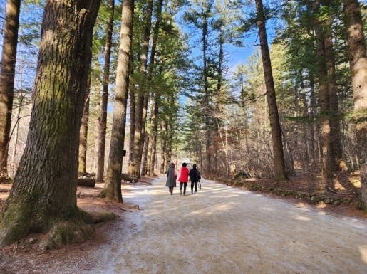 ���� ����2