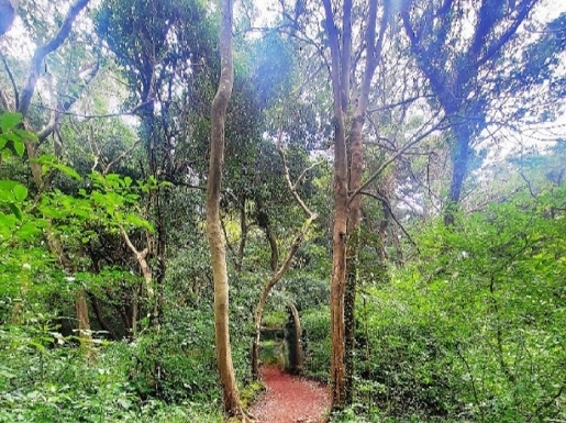 ¿©Çà »çÁø4 ¿©Çà »çÁø4