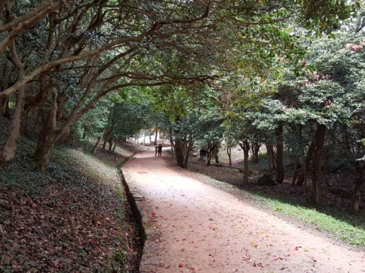 ¿©Çà »çÁø5 ¿©Çà »çÁø5