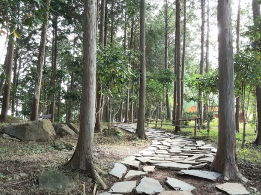 ¿©Çà »çÁø7 ¿©Çà »çÁø7