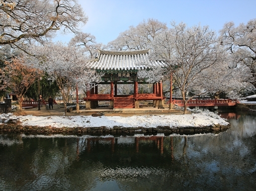 ���� ����4