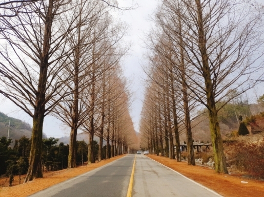 ���� ����2