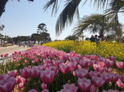 ���� ����4