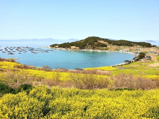 ���� ����2