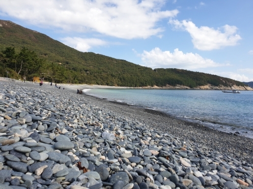 ���� ����7