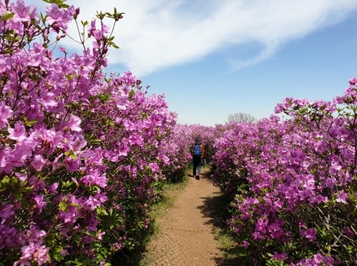 ���� ����4