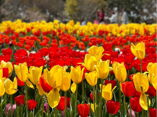 ���� ����2