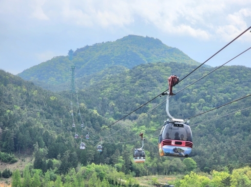 ¿©Çà »çÁø5 ¿©Çà »çÁø5