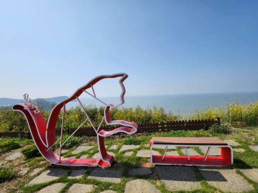 ���� ����5