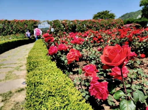 ���� ����4