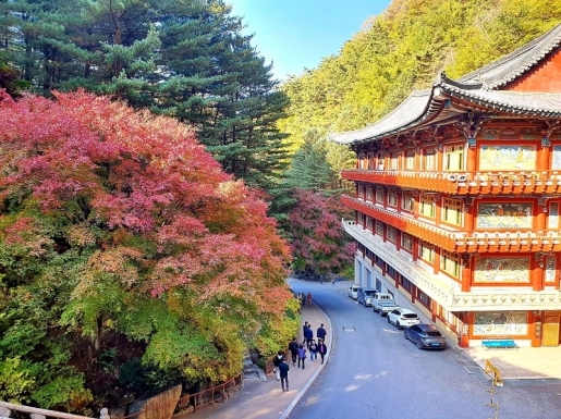 ¿©Çà »çÁø3 ¿©Çà »çÁø3