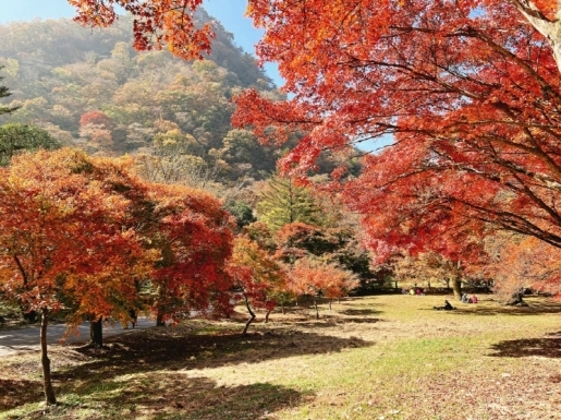 ¿©Çà »çÁø3 ¿©Çà »çÁø3