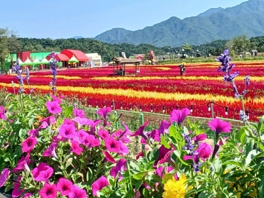 ¿©Çà »çÁø2 ¿©Çà »çÁø2