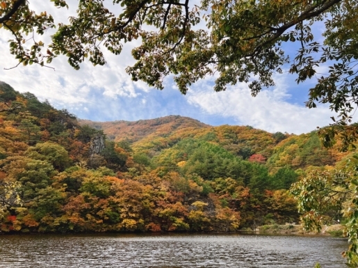 ¿©Çà »çÁø6 ¿©Çà »çÁø6