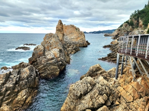 ���� ����6