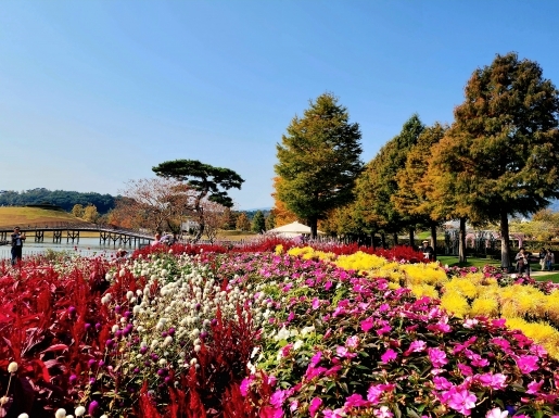 ¿©Çà »çÁø3 ¿©Çà »çÁø3