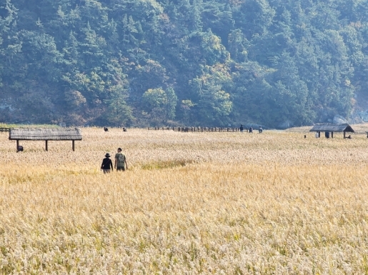 ¿©Çà »çÁø3 ¿©Çà »çÁø3